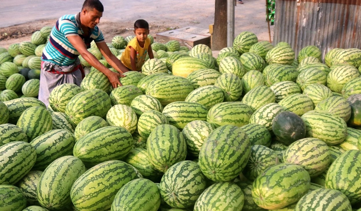 অস্বাভাবিক হারে বেড়েছে তরমুজের দাম